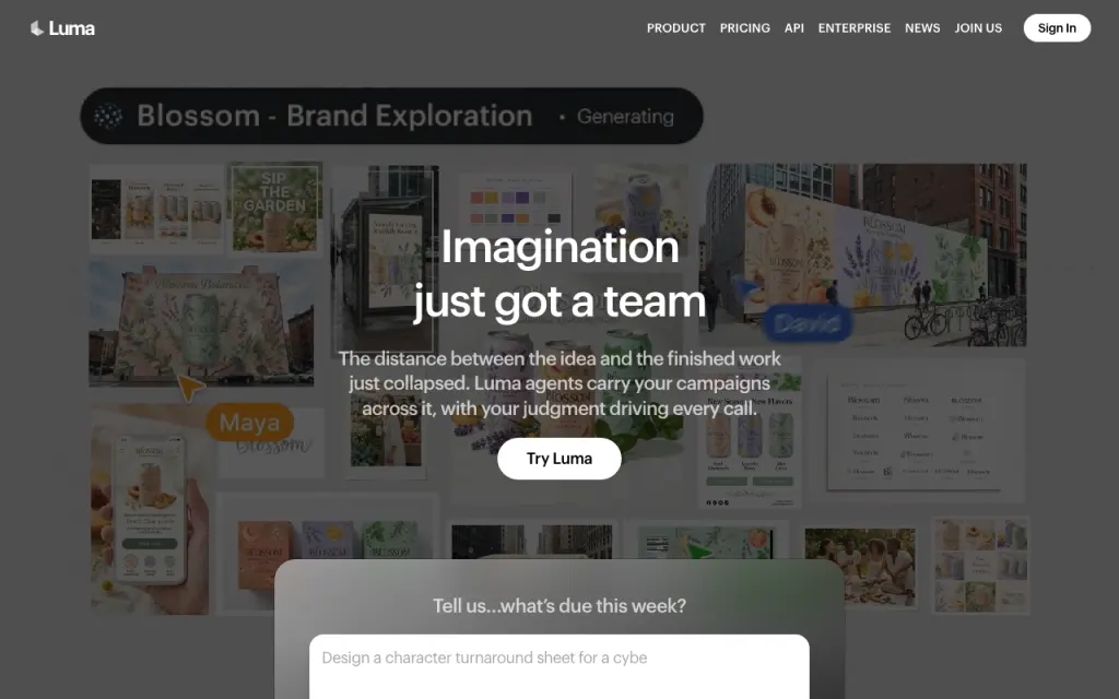 Luma Dream Machine website, captured by us