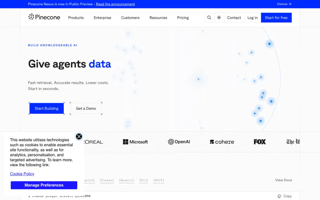 Pinecone website, captured by us