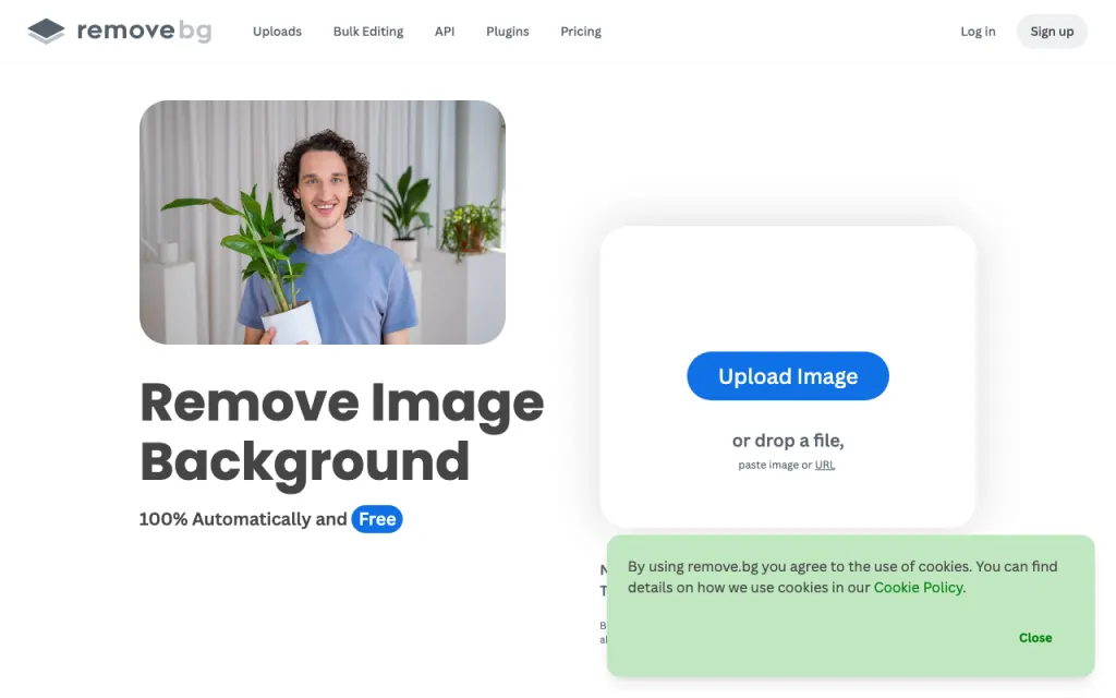 remove.bg website, captured by us